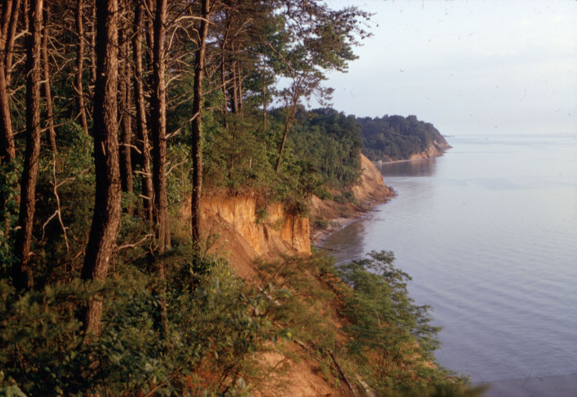 Calvert Cliffs